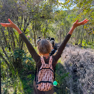 Our First Volunteer Group Out in Madagascar: Here’s What They’ve Been Doing!
