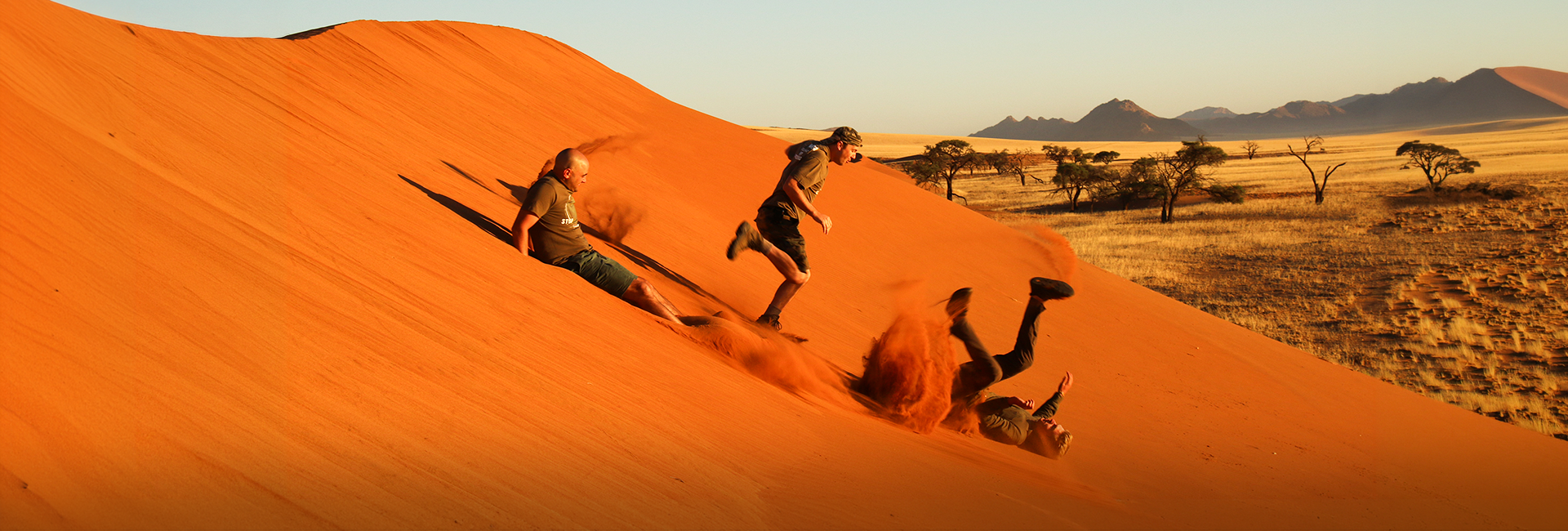Best Summer Volunteer Programs 2026: Meaningful Wildlife Adventures Abroad