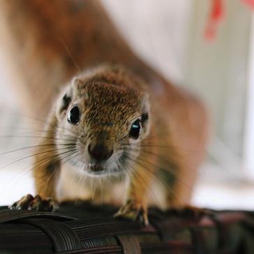 See What Catherine Thought Of Her Time At The Wildlife Orphanage!