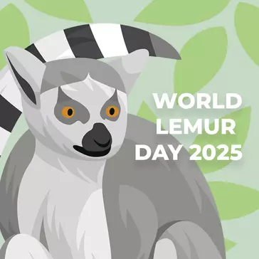 World Lemur Day 2025
