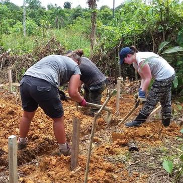 The Latest Update From The Samboja Lestari Volunteer Project Site! 