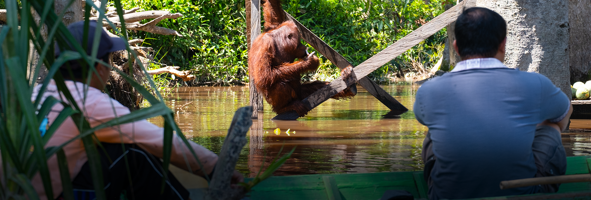 Celebrating BOS Foundation’s 2024 Achievements & Looking Ahead to a Brand New Year