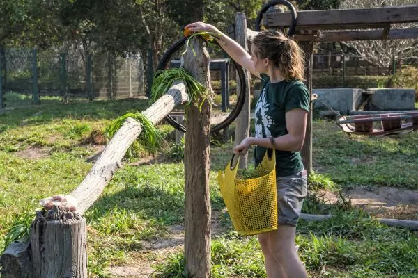 Animal Feeding @ Laos Wildlife Sanctuary