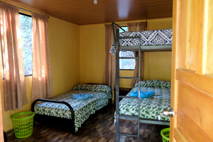 Accommodation Bedroom