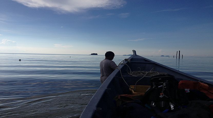 Volunteer Diary From The Orangutan And Tribes Tour!