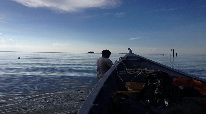 Volunteer Diary From The Orangutan And Tribes Tour!