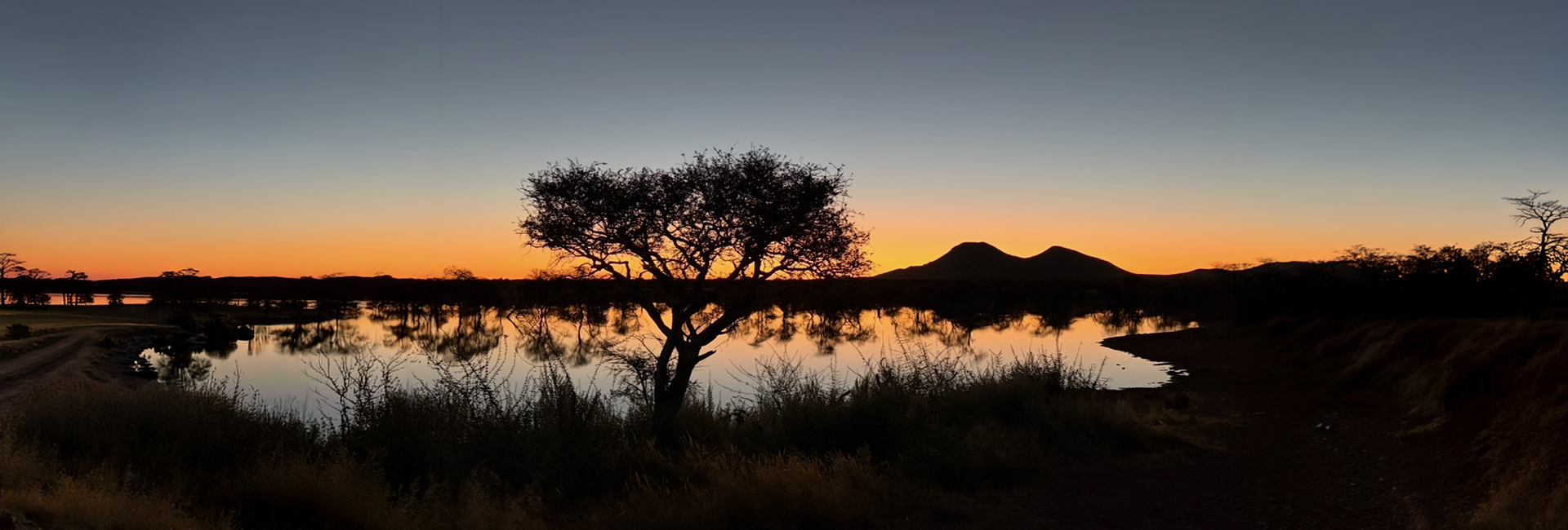 Three Weeks Volunteering in Namibia: Tracey’s Wildlife Experience