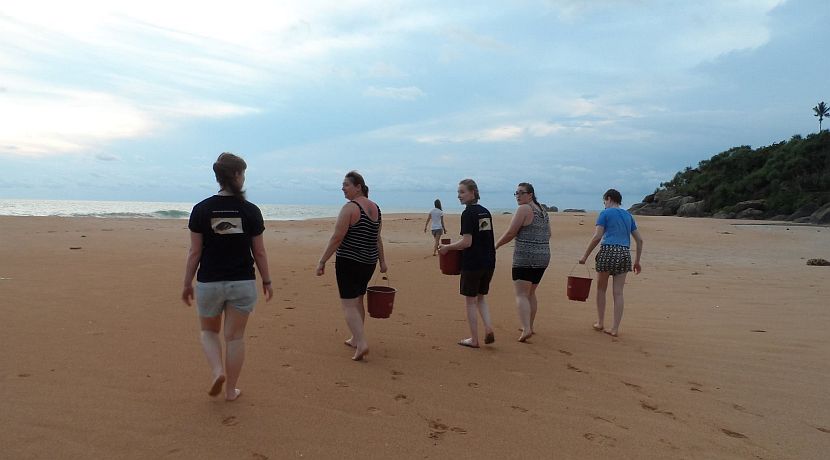 Read A Volunteer Experience On The Great Turtle Project!