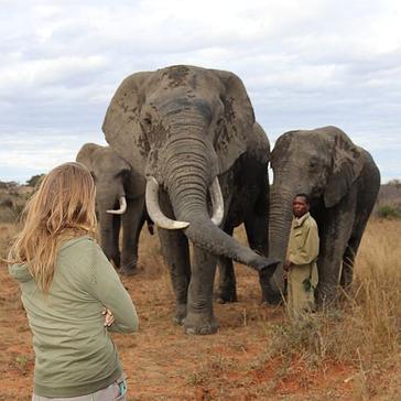 Connor's Top 3 Highlights From The Rhino And Elephant Conservation Project! 