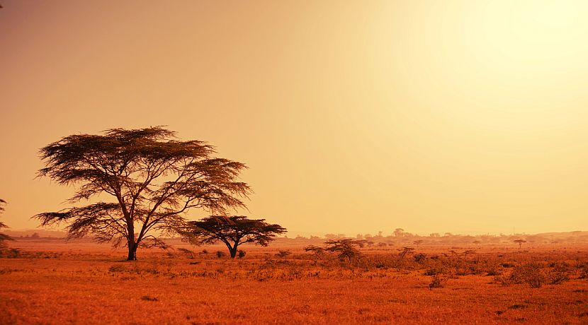 What To Expect When Volunteering In Africa!