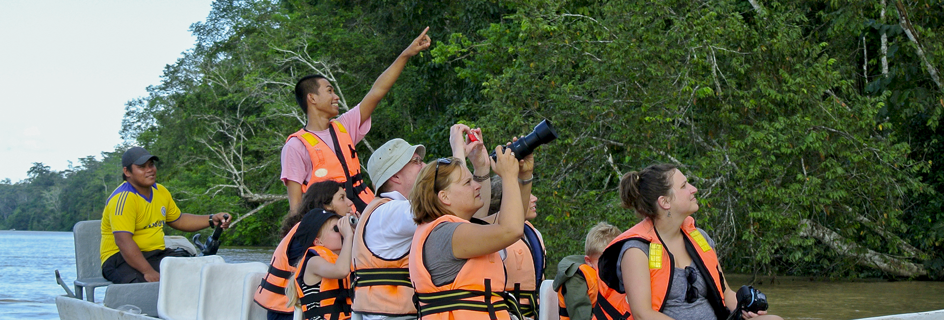 Read Our Latest Update From The Great Orangutan And Pygmy Elephant Project!