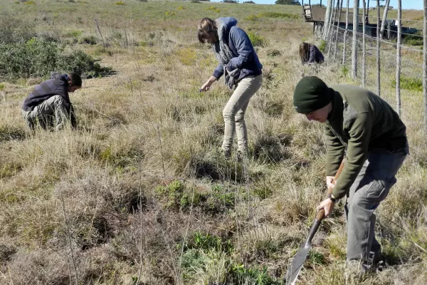 Reserve Maintenance at Amakhala