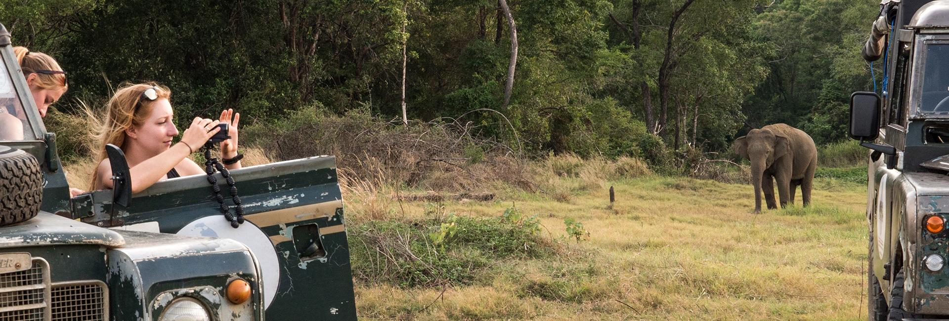 4 Reasons Why You Should Book Your Next Volunteering Holiday With The Great Projects