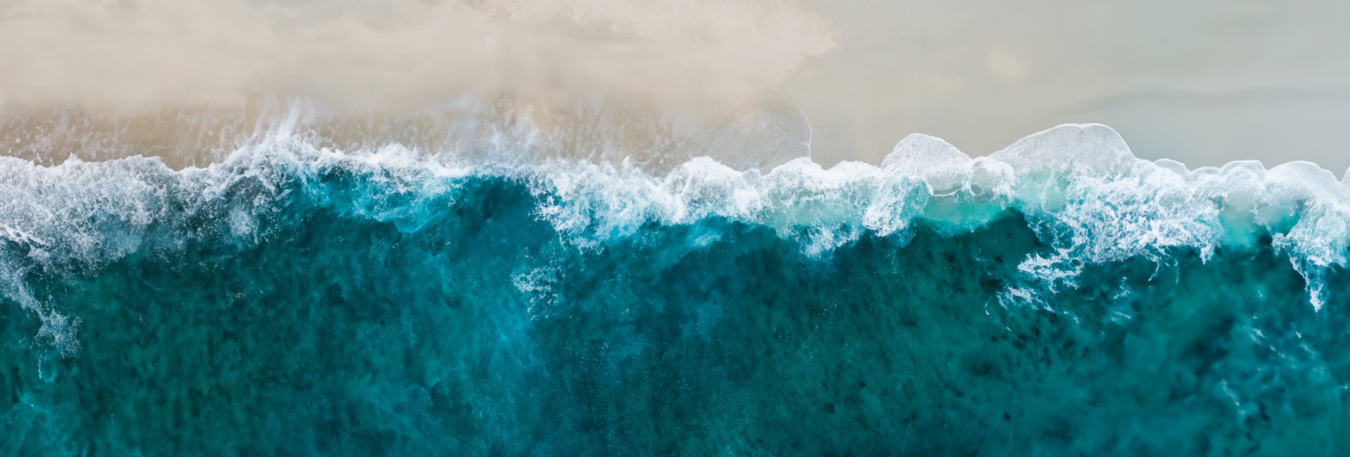 Update From The Great Turtle Project - Check Out The Moment A Mother Green Turtle Laid Her Eggs On The Shore!