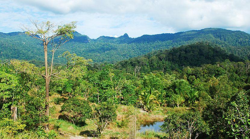 Wildlife Volunteer Interview: Michelle Cullen