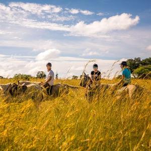 Rhino & Elephant Equestrian Project