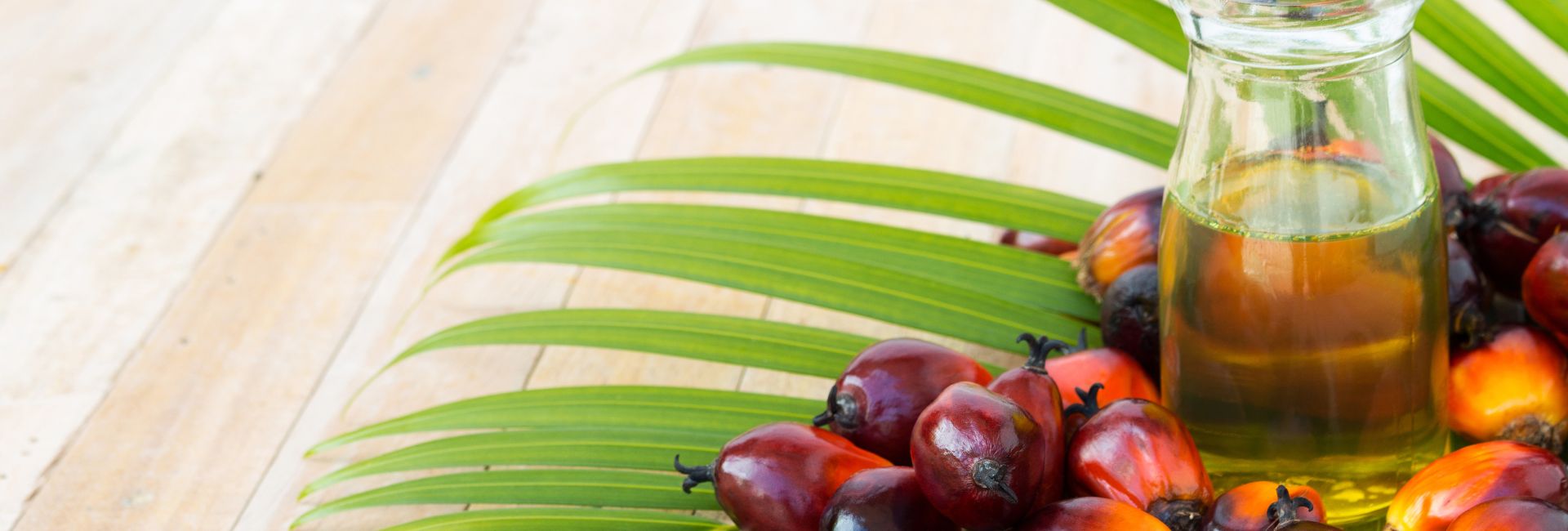 Are The Contents Of Your Cupboards Harming The World? Palm Oil Uncovered...