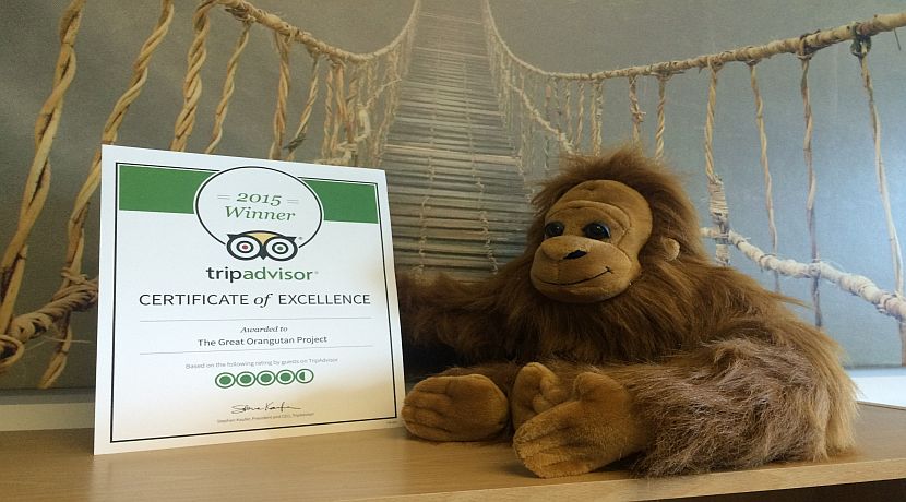 The Great Orangutan Project Wins For The Second Year In A Row!