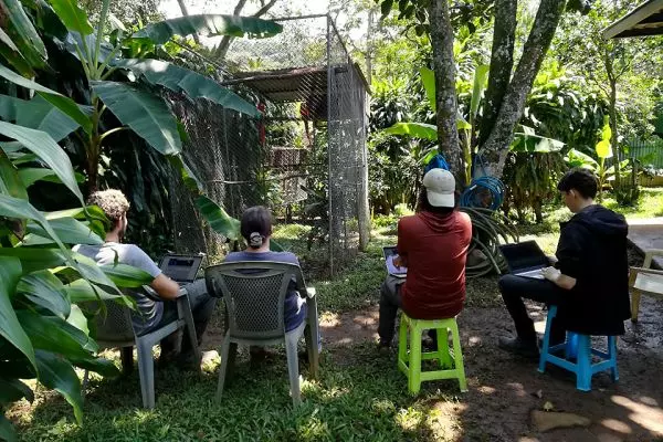 Behaviour Monitoring @ Costa Rica Wildlife Sanctuary