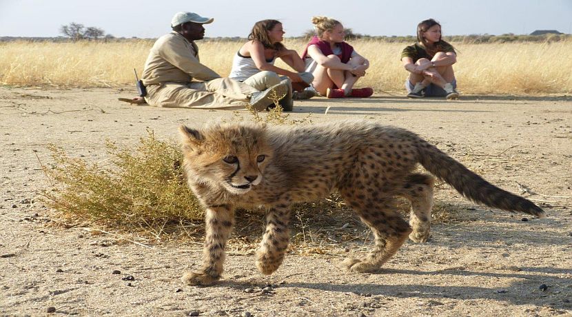 Nikita In Namibia - Day 2