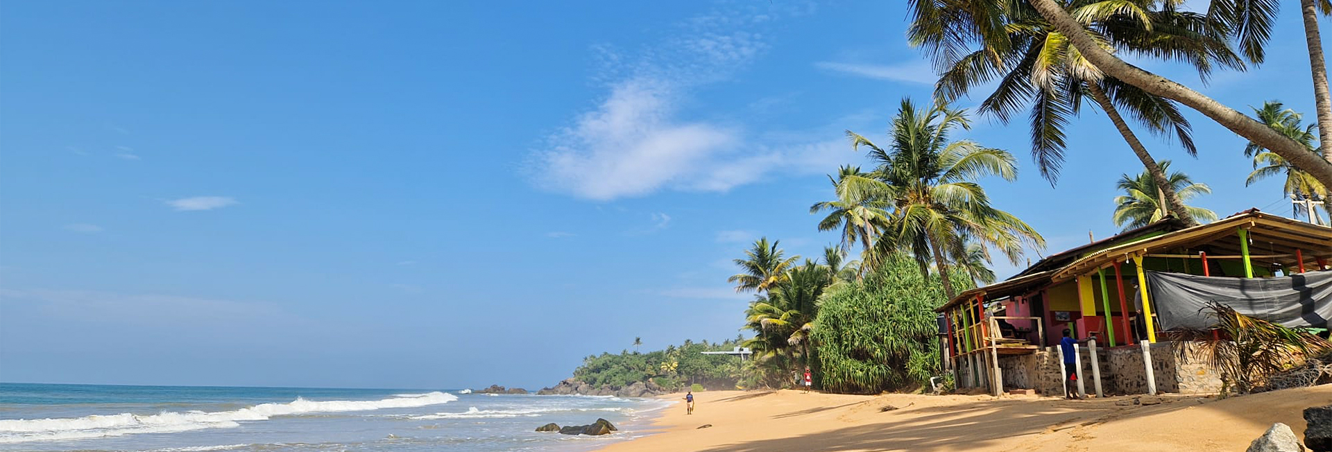 Tabitha’s Experience at The Great Turtle Project!