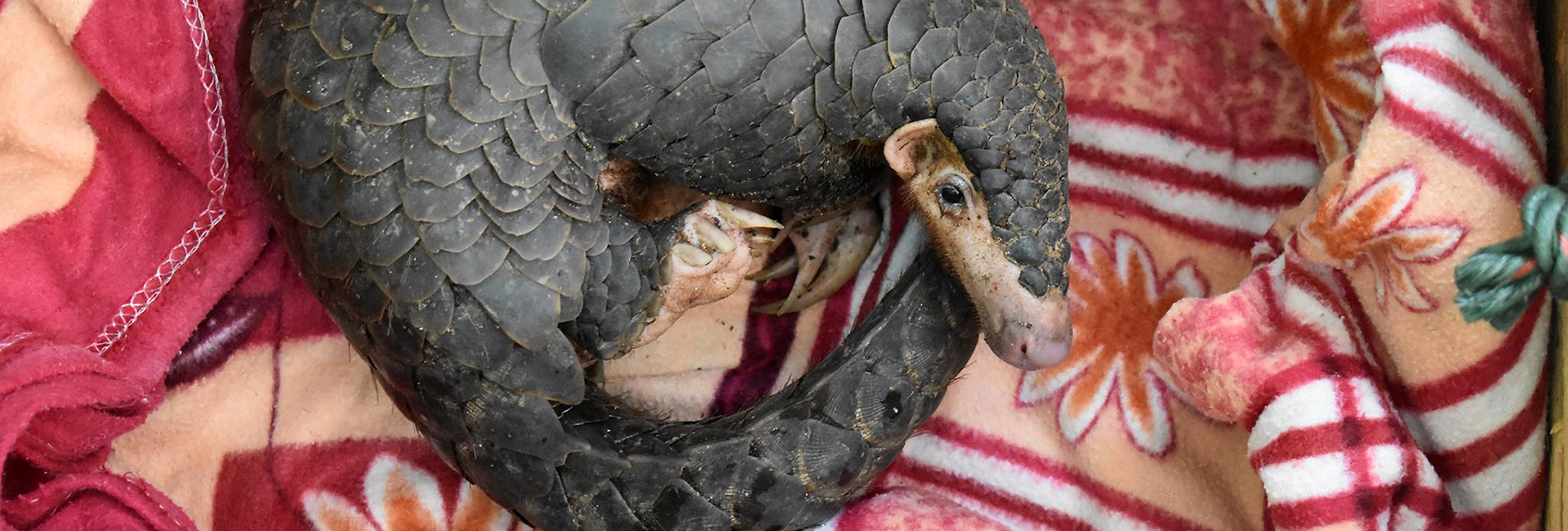 We're Celebrating A Very Special Mother This Mother’s Day!