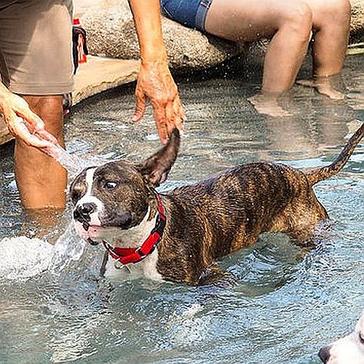 June's News In Review - Catch Up On The Animal Stories From Around The Globe!