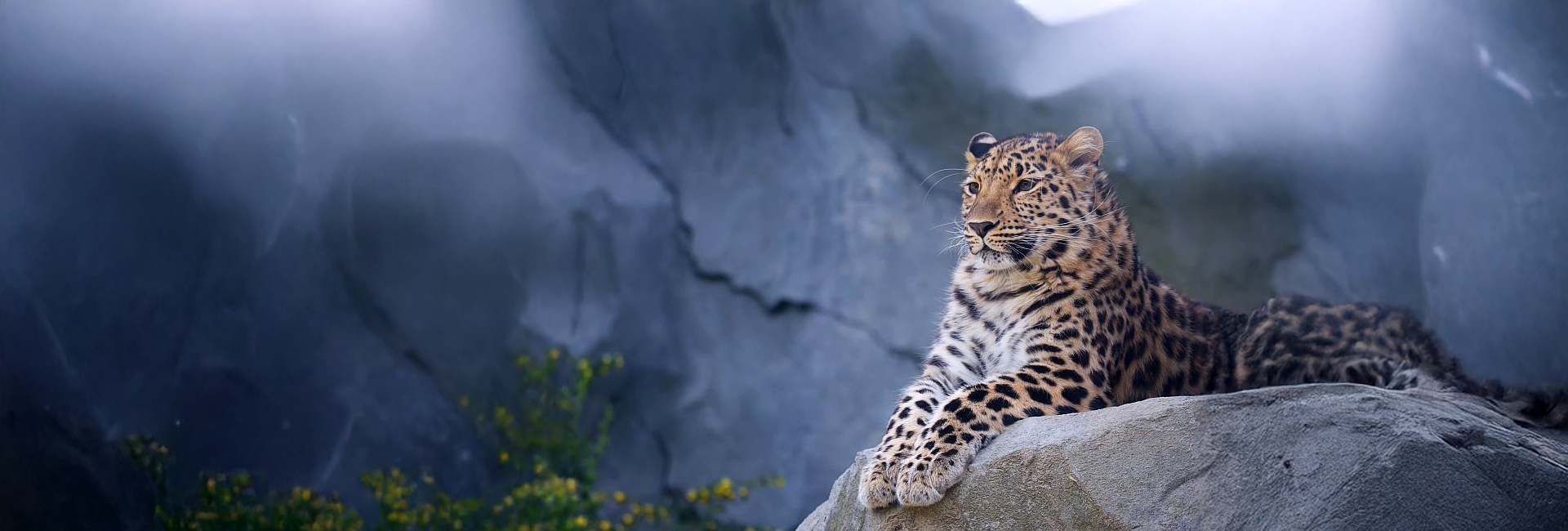 News In Review - The Animal Stories You May Have Missed Throughout March