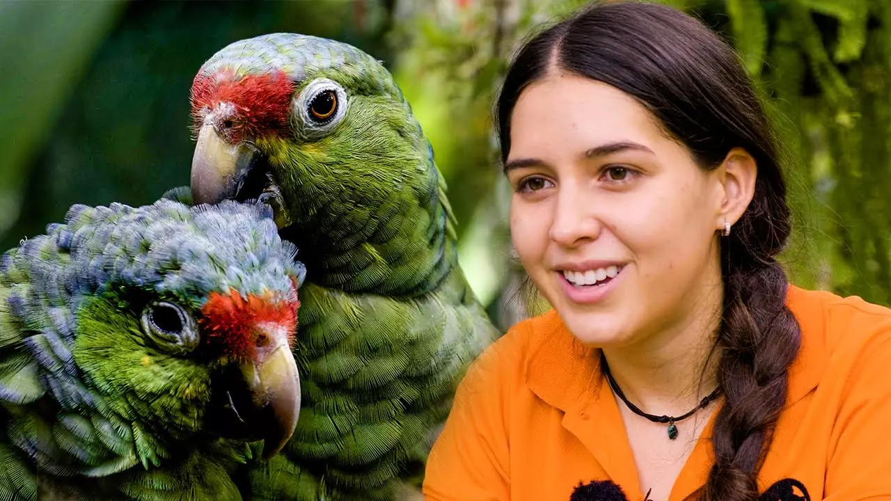 Sloth Conservation and Wildlife Experience Veterinarian Interview