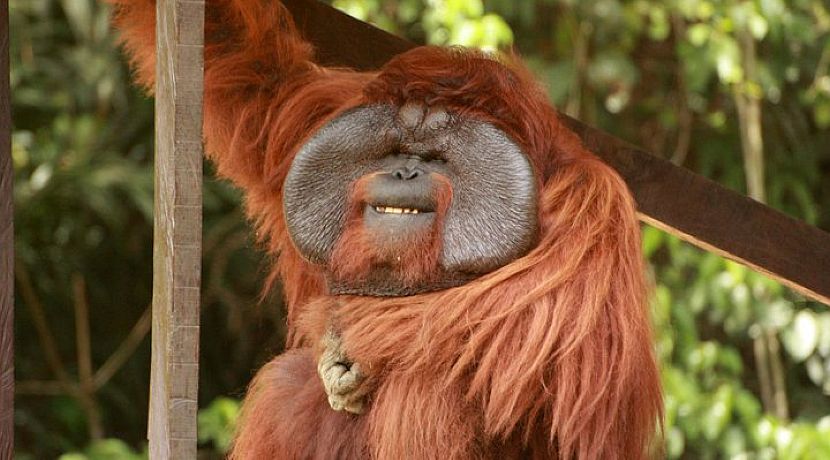 Competition Winners from ReponsibleTravel.com!!