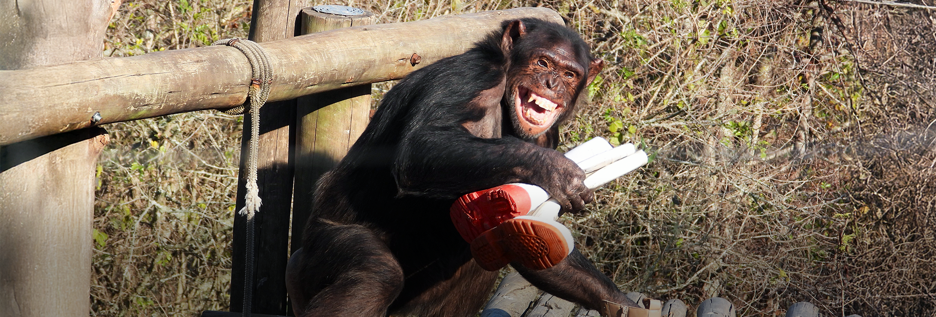 Packing Essentials For Your Volunteering Trip To Africa!