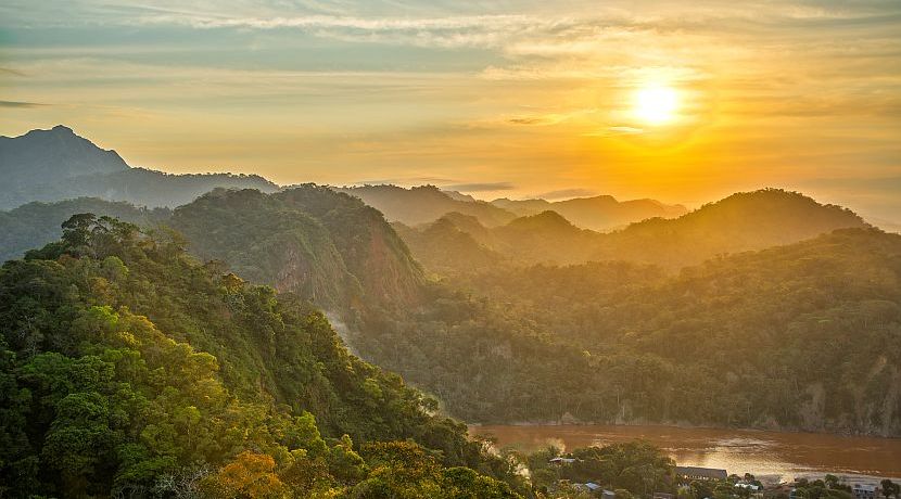 Discover The Most Amazing Ecosystem On Earth - The Rainforest