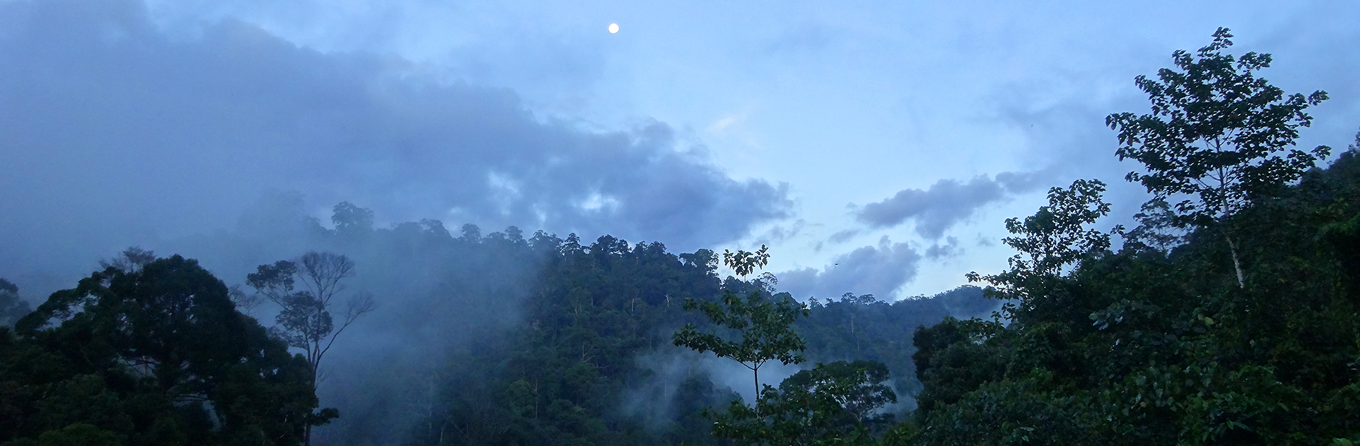 Halloween At The Samboja Lestari Orangutan Volunteer Project!