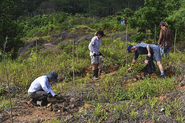 Reforestation at Samboja Lestari