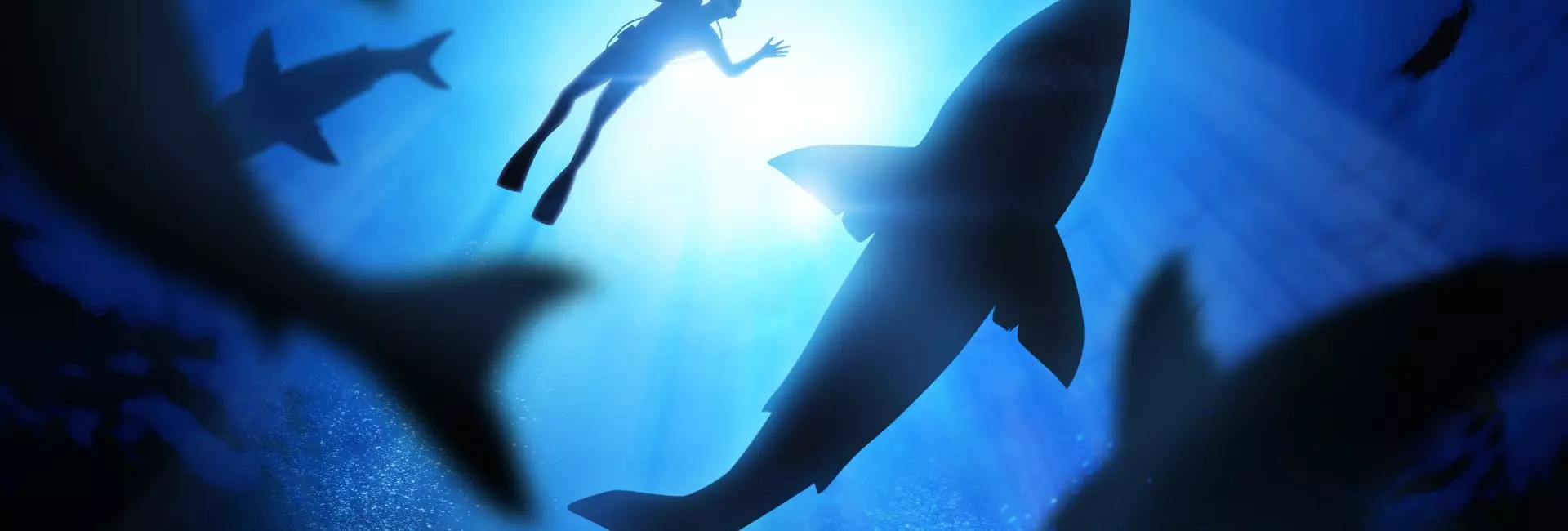 Is Discovery Channel's 'Shark Week' Doing More Harm Than Good?