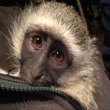 Nikita in Namibia - Day 9