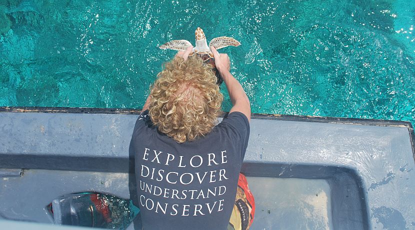 Which Turtles Will I See On The Volunteering Projects?