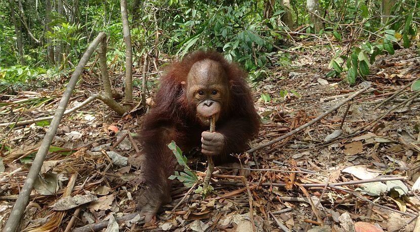 New Year, New Adventures!