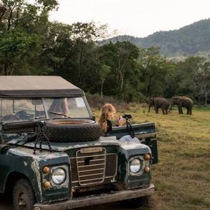 The Great Elephant Project