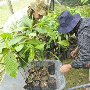 Read Our Latest Update From The Great Orangutan And Pygmy Elephant Project!