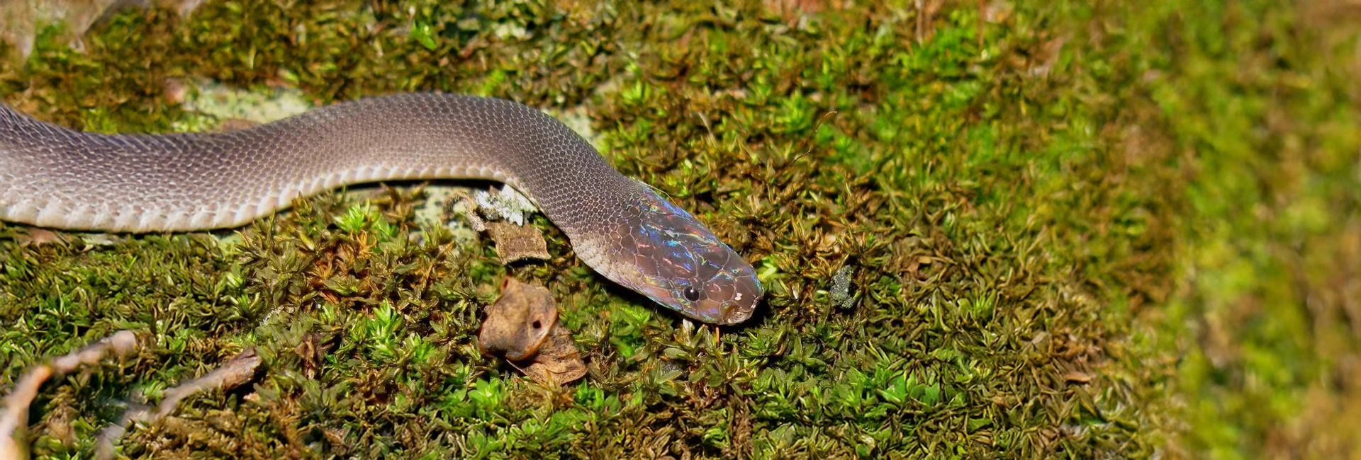 The Year In Review - 2016's Top Discoveries!