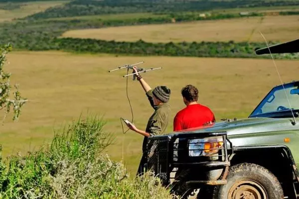 Camera Traps & Telemetry Tracking