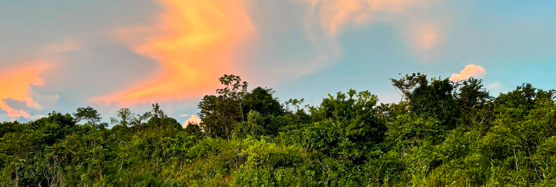 Meet Some of the Faces of Peru Wildlife Sanctuary