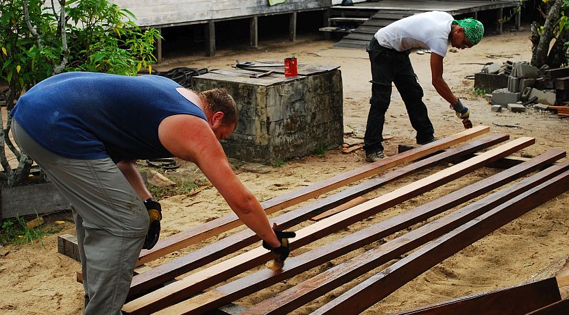 Young orangutans released into their new enclosure at Ketapang