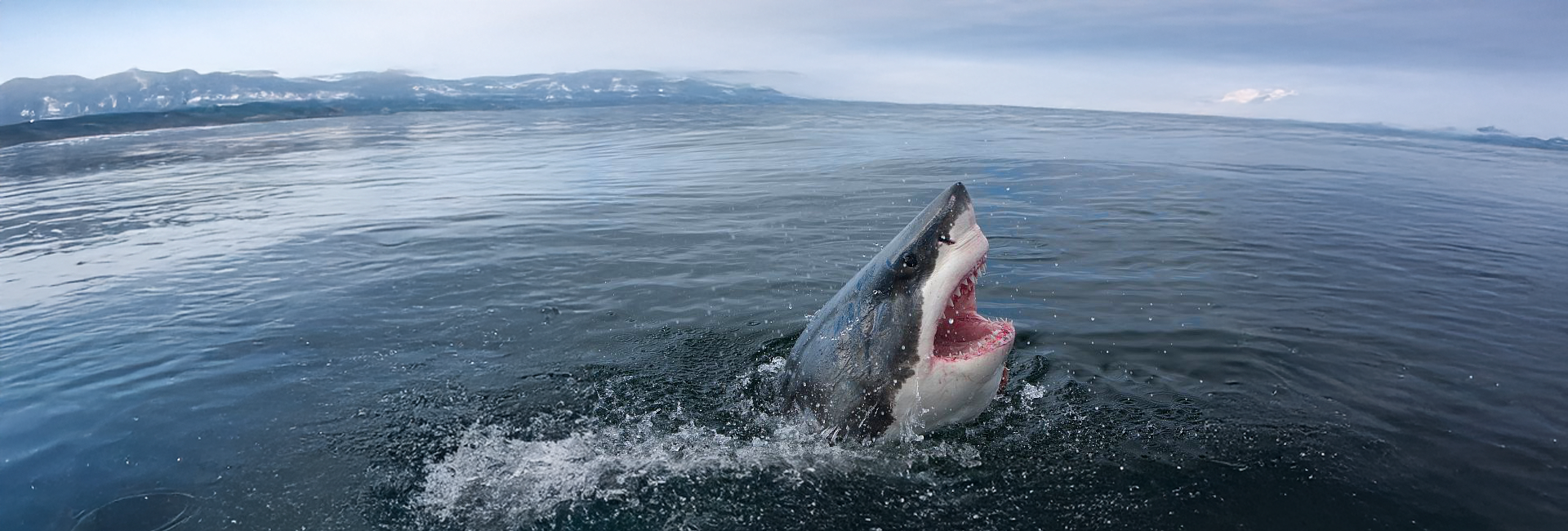 An A to Z of...Cape Town, South Africa