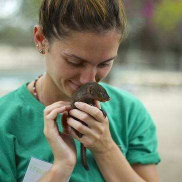 Teaching Time And A Crocodile Release - Updates From The Wildlife Orphanage