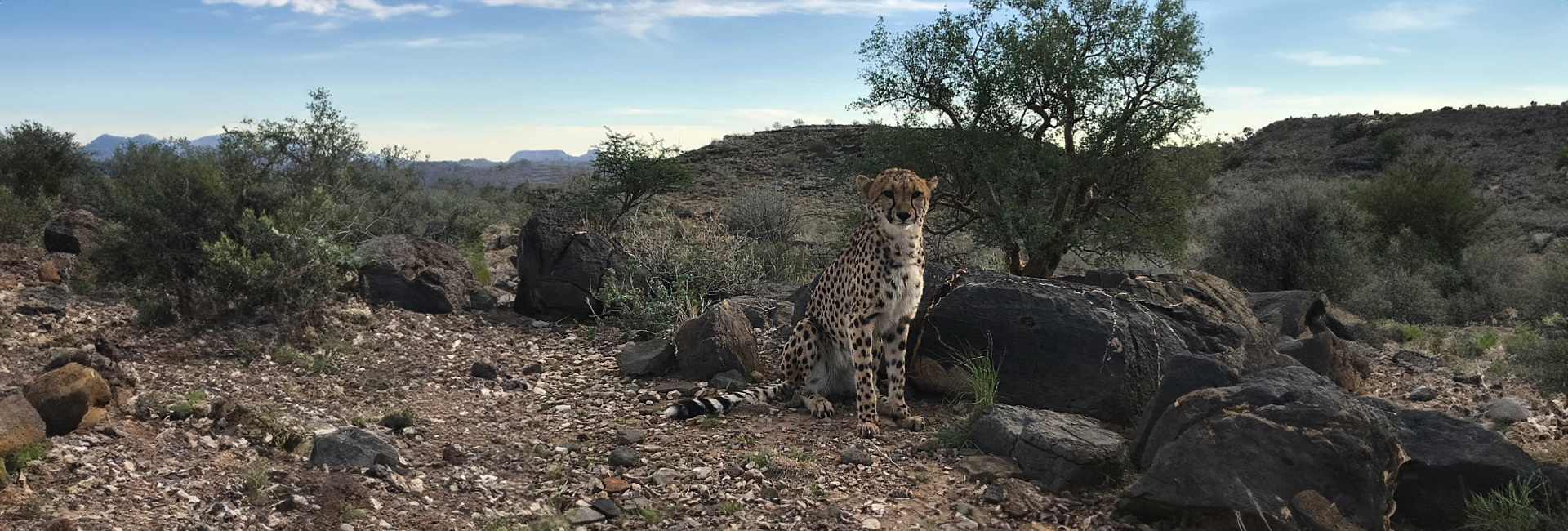 'It was a privilege...an experience I have learnt much from and will remember forever' - hear what our competition winner, Laura, has to say about her time in Namibia!