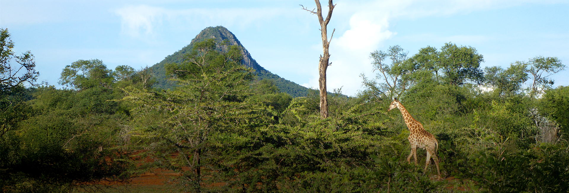 Couple Douglas and Julie Share their SanWild Sanctuary & Reserve Adventure!