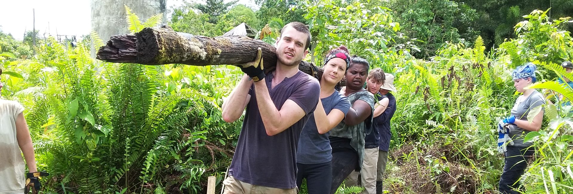 An Update From The Samboja Lestari Orangutan Project - One Island Has Been Finished And The Baby Orangutans Are Learning!
