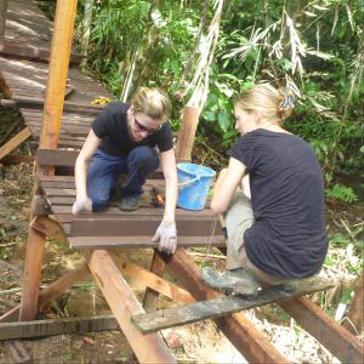 What Volunteering at The Great Orangutan Project Actually Involves